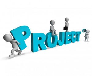 project management barantum